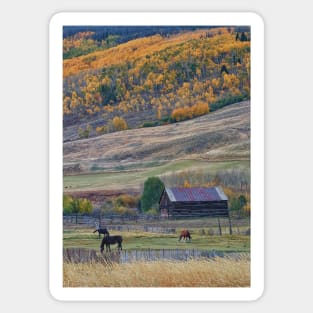 Colorado Horse Ranch Sticker